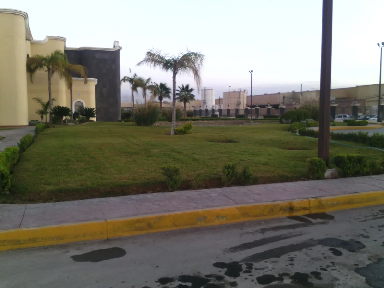 Camellón con pasto y palmas en el estacionamiento