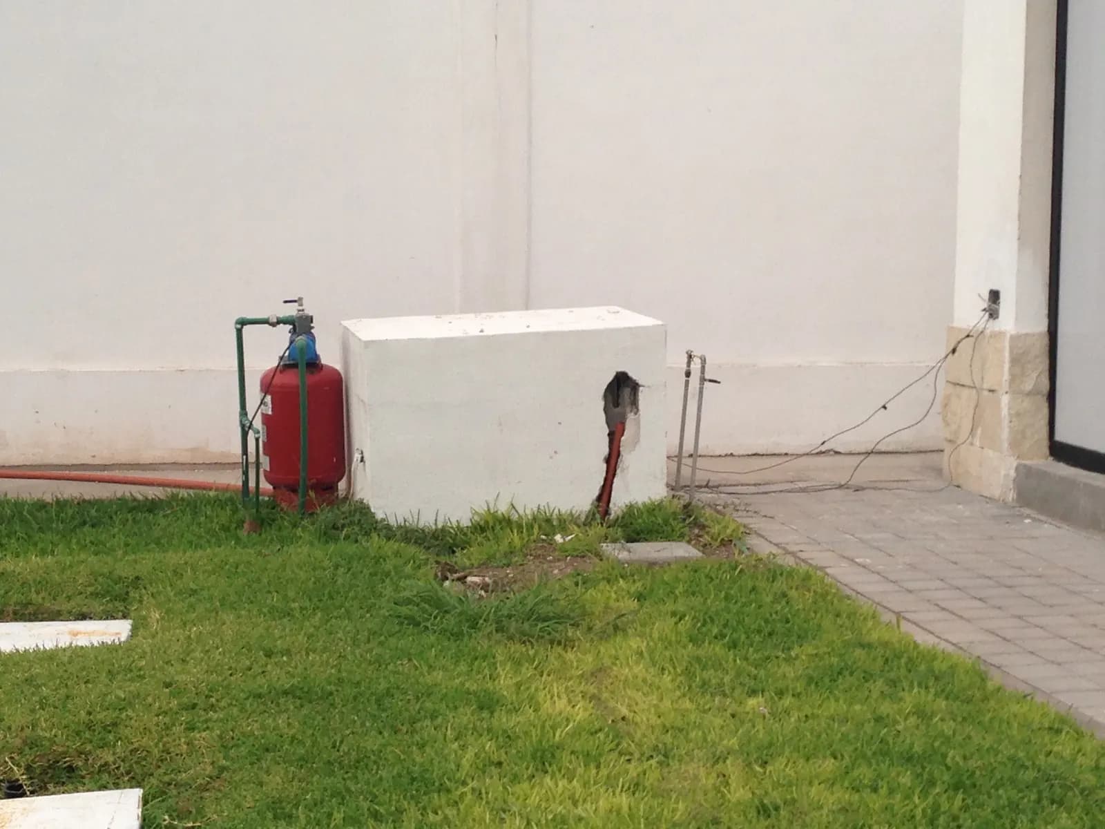 Pasto en área de servicios