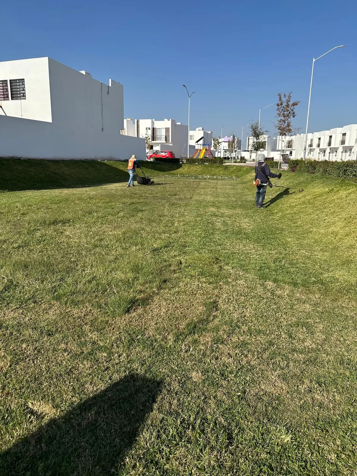Jardinero de Garden Plus dando mantenimiento a un área verde con pasto y piedra en un fraccionamiento