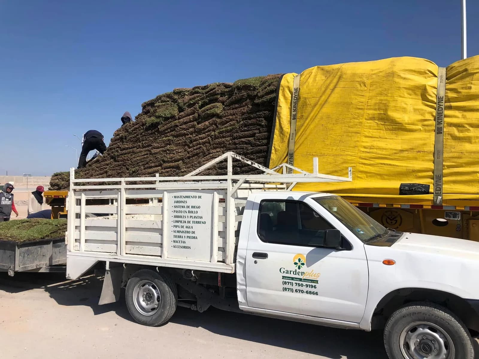 Camioneta de Garden Plus junto a un tráiler cargado de rollos de pasto