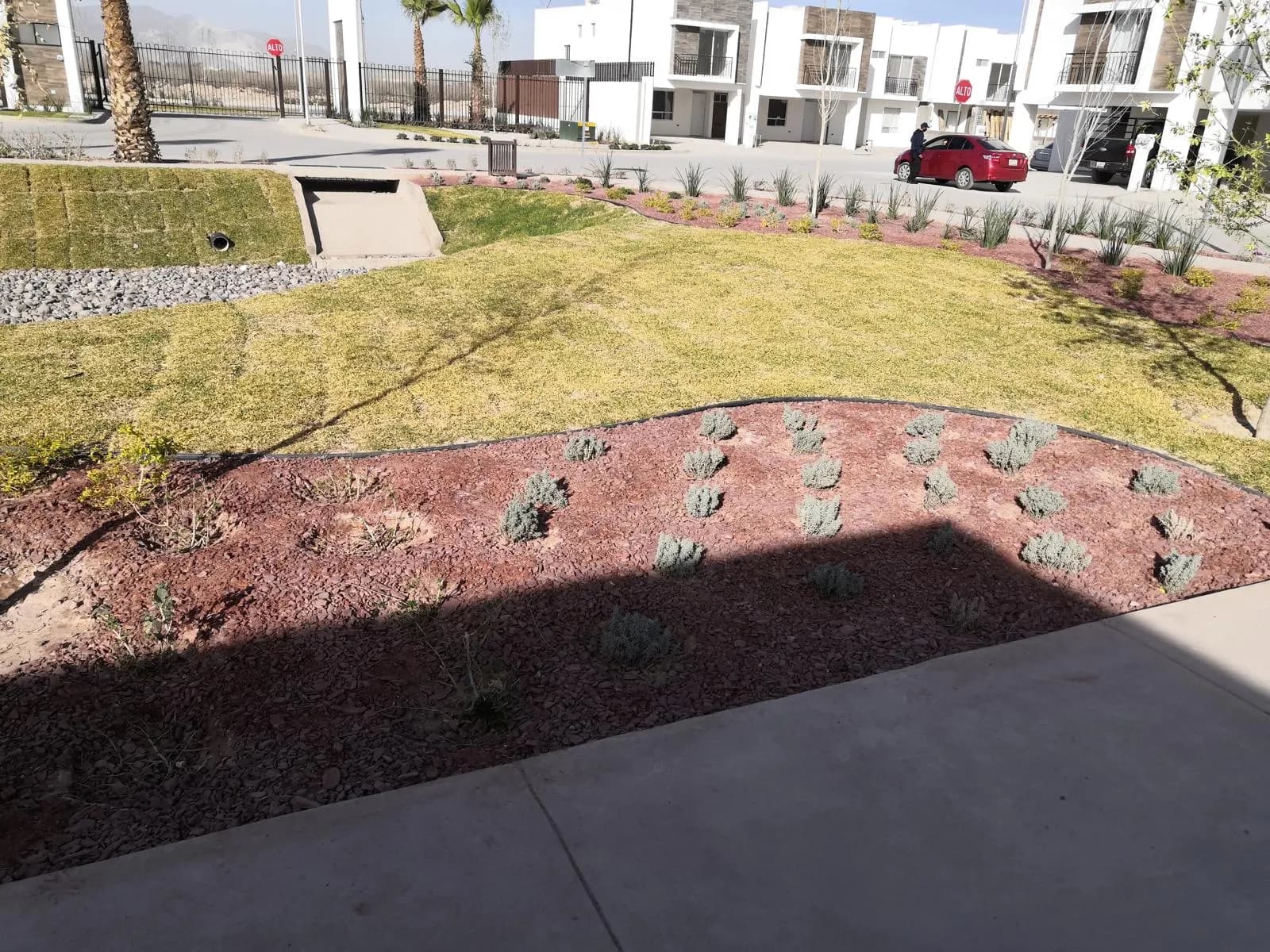 Jardinera de piedra roja con lavanda junto al pasto