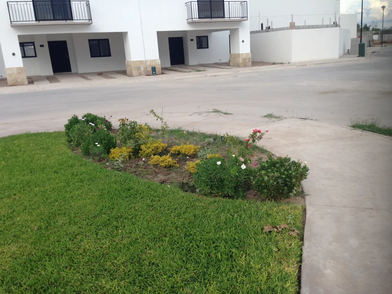 Jardinera de flor frente a las casas