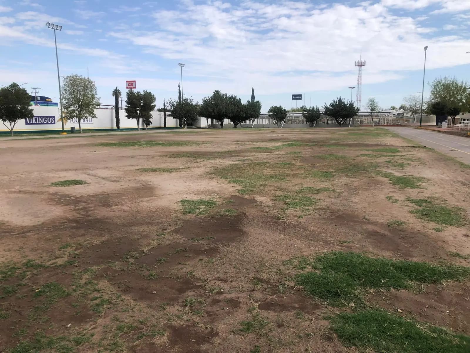 Manchones de pasto sobre tierra antes del proyecto